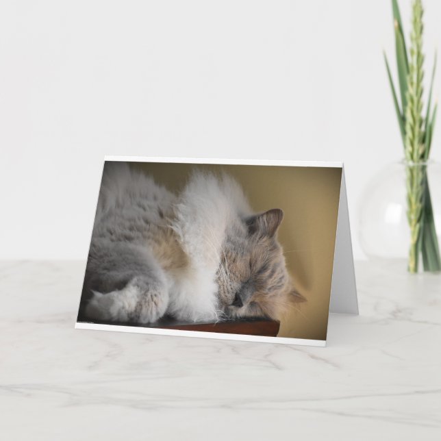 Slow Days, card (Front)