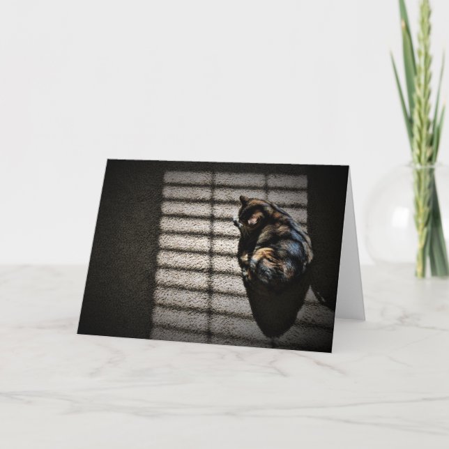 Slow Days, card (Front)