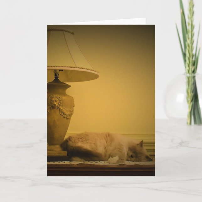 Slow Days, card (Front)