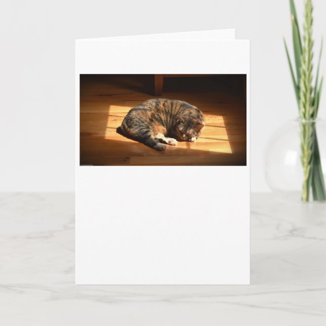 Slow Days, card (Front)