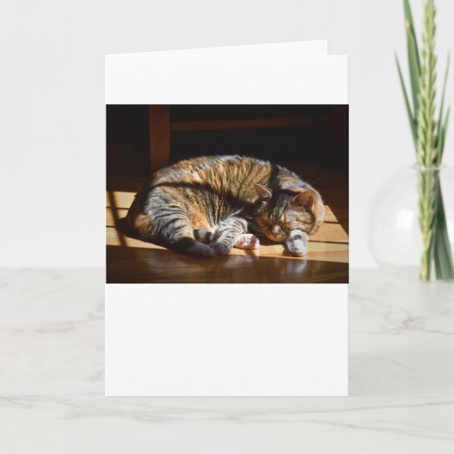 Slow Days, card (Front)