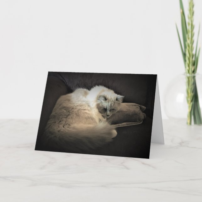 Slow Days, card (Front)