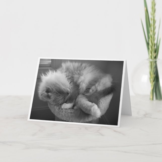 Slow Days, card (Front)