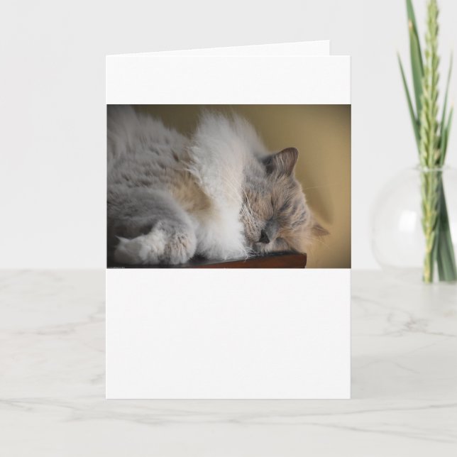 Slow Days, card (Front)