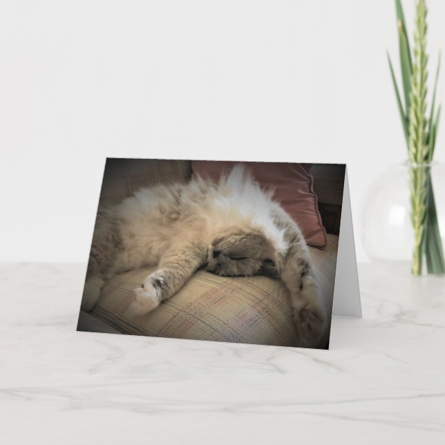 Slow Days, card (Front)