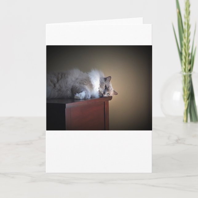 Slow Days, card (Front)