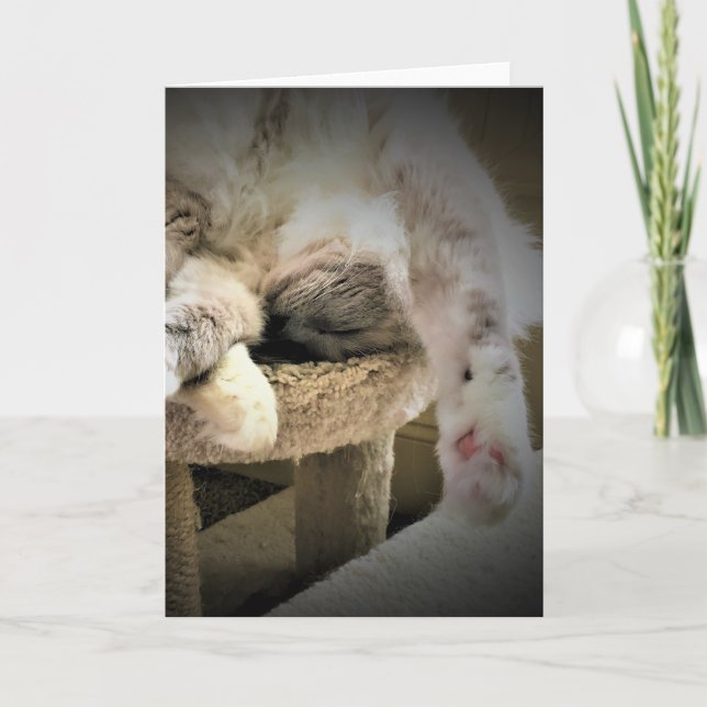 Slow Days, card (Front)