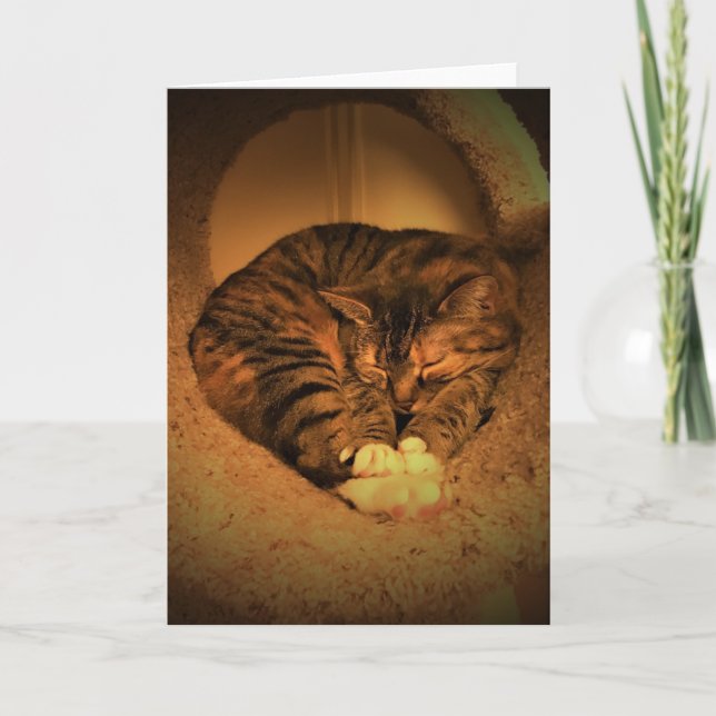 Slow Days, card (Front)
