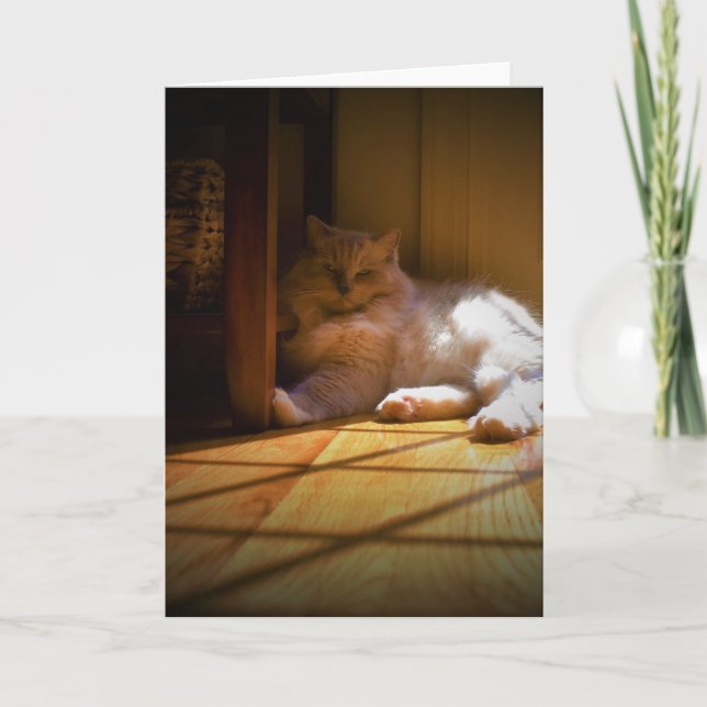 Slow Days, card (Front)