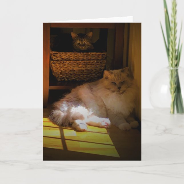 Slow Days, card (Front)