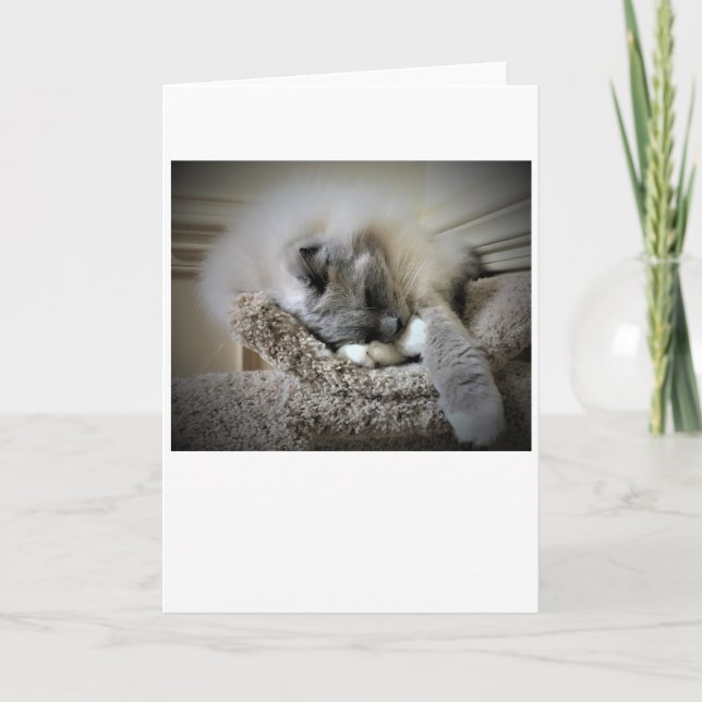 Slow Days, card (Front)