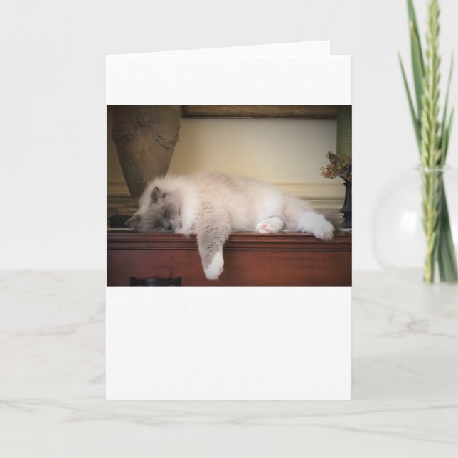 Slow Days, card (Front)