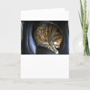 Slow Days, card