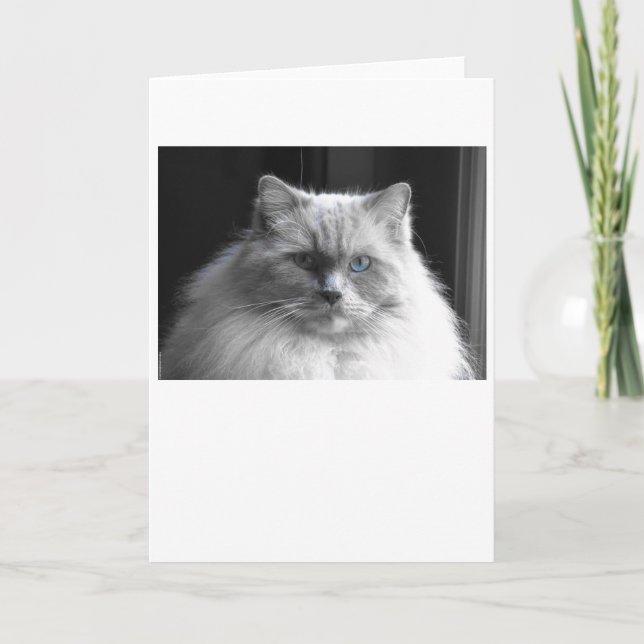 Slow Days, card (Front)