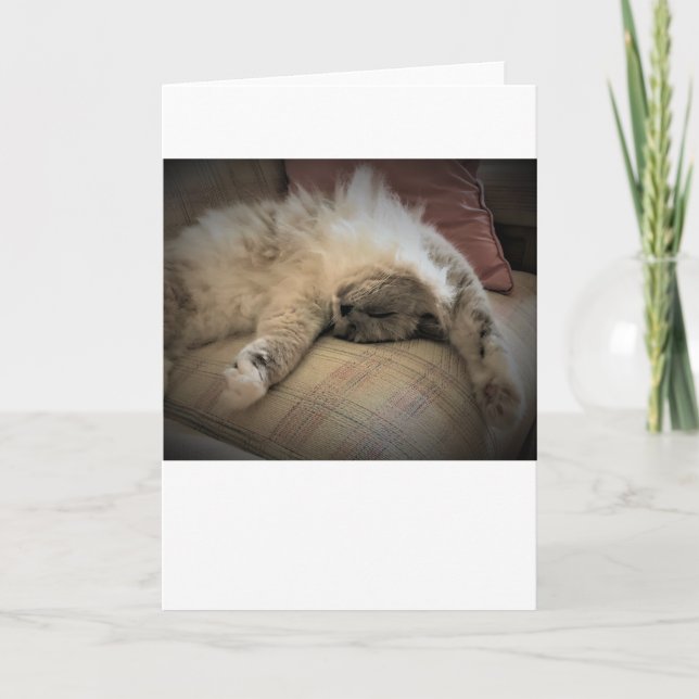 Slow Days, card (Front)