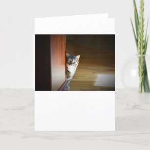 Slow Days, card