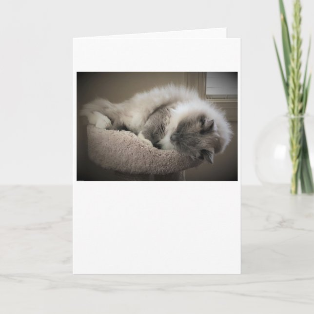 Slow Days, card (Front)
