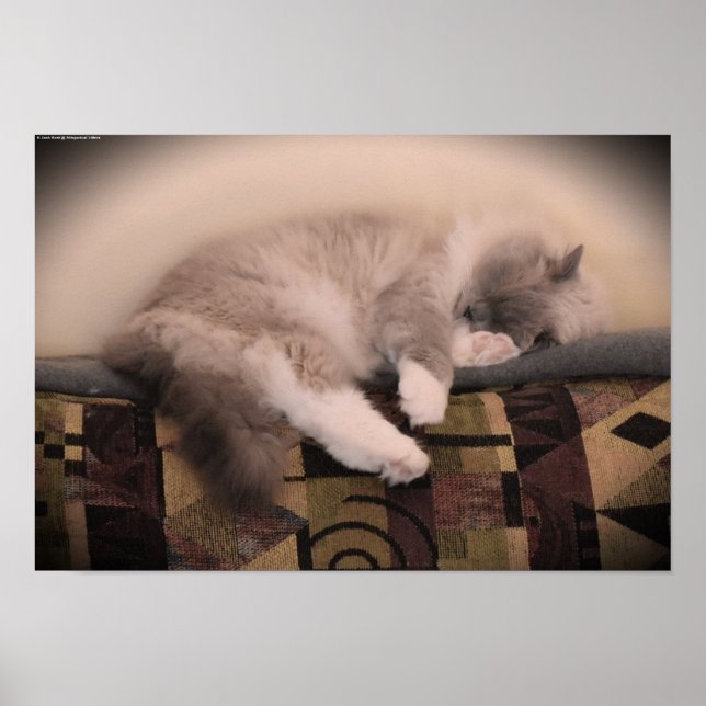 Slow Days, Poster (Front)