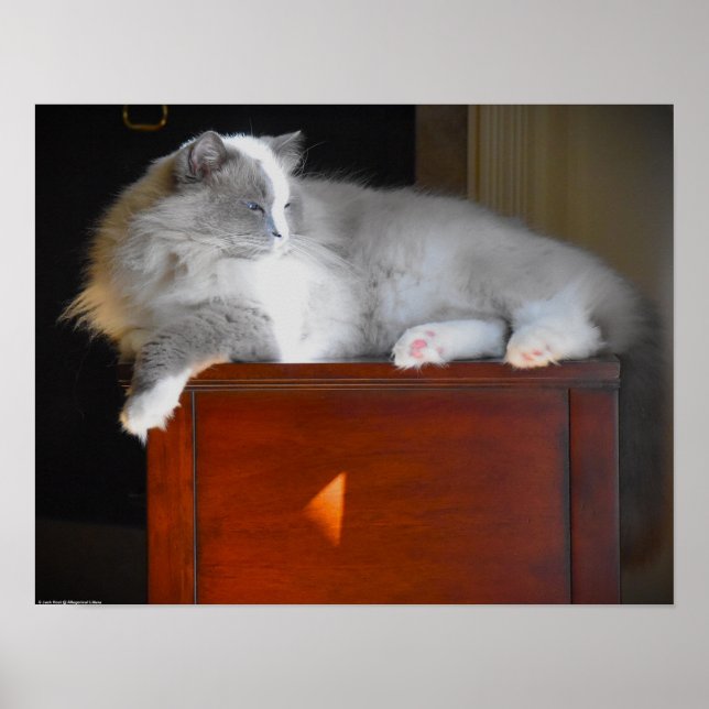 Slow Days, Poster (Front)