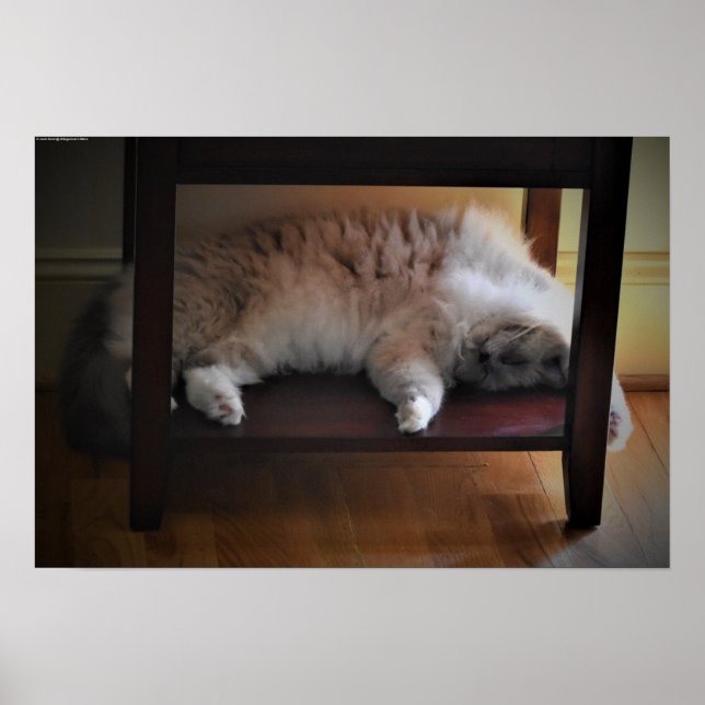 Slow Days, Poster (Front)