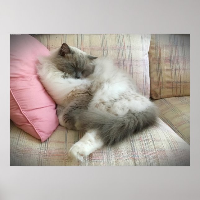 Slow Days, Poster (Front)