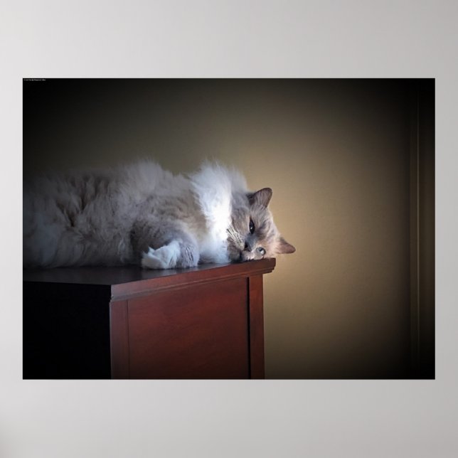 Slow Days, Poster (Front)