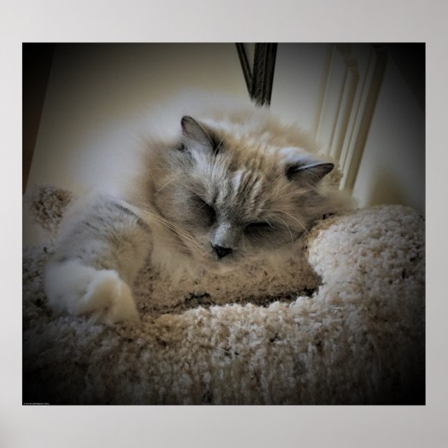 Slow Days, Poster (Front)