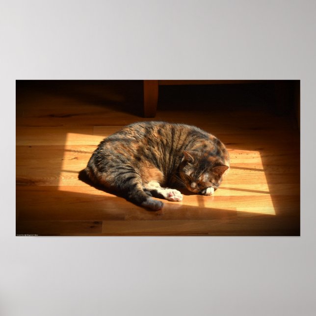 Slow Days, Poster (Front)