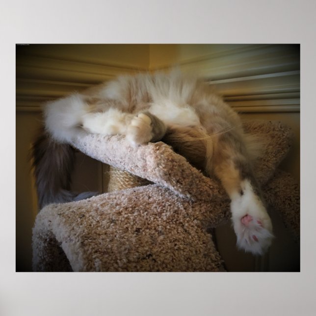 Slow Days, Poster (Front)