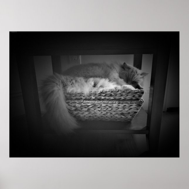 Slow Days, Poster (Front)