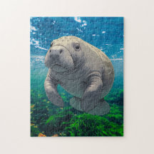 Slow Down and Drift for Manatee Inspired