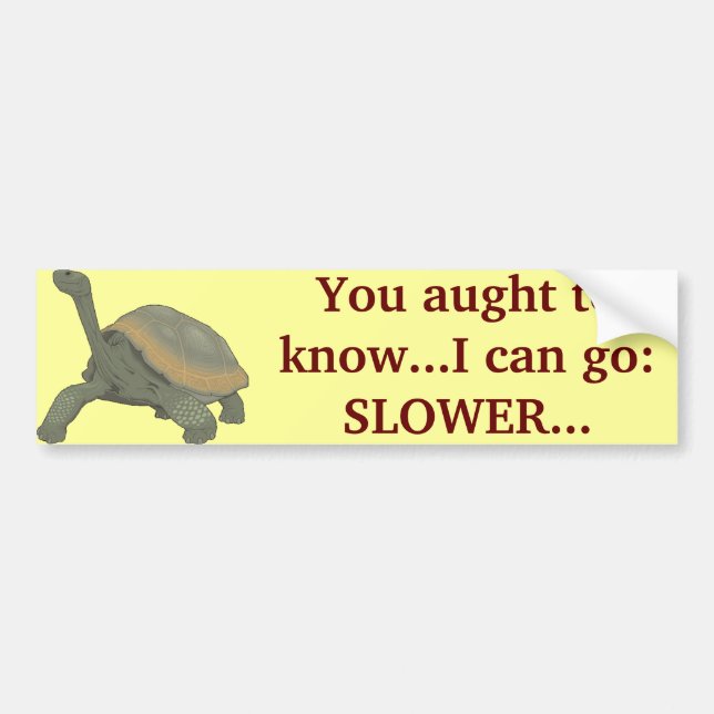 SLOW DOWN? BUMPER STICKER (Front)