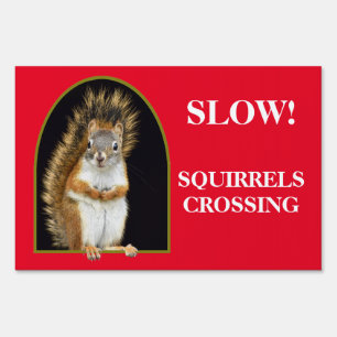 Slow down for squirrels! sign