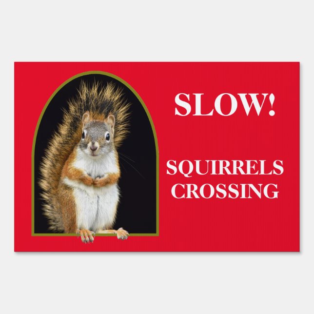 Slow down for squirrels! sign (Front)