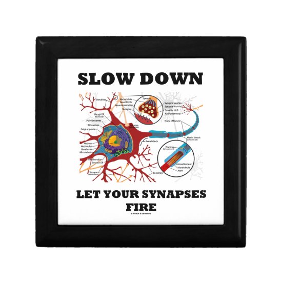 Slow Down Let Your Synapses Fire Neuron / Synapse Jewelry Box