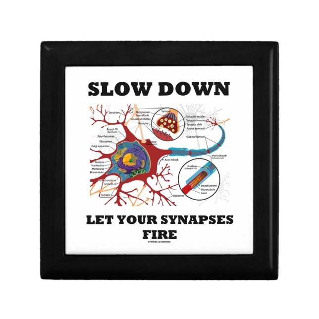 Slow Down Let Your Synapses Fire Neuron / Synapse Jewelry Box (Front)