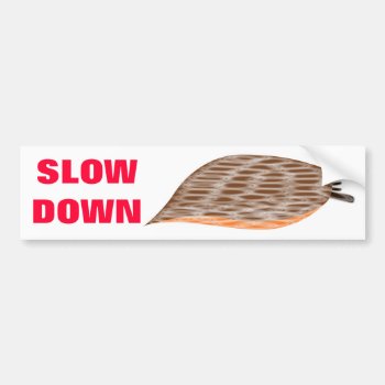 Slow Down Slug Bumper Sticker by Fallen_Angel_483 at Zazzle