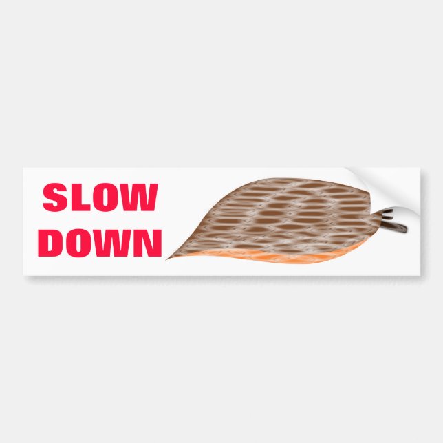 Slow Down Slug Bumper Sticker (Front)