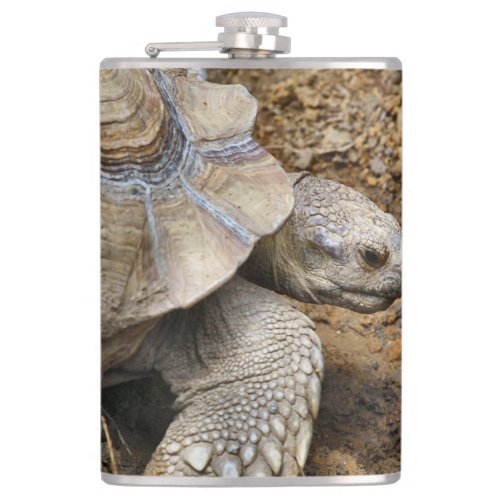 Slow Flask