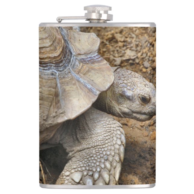 Slow Flask (Front)