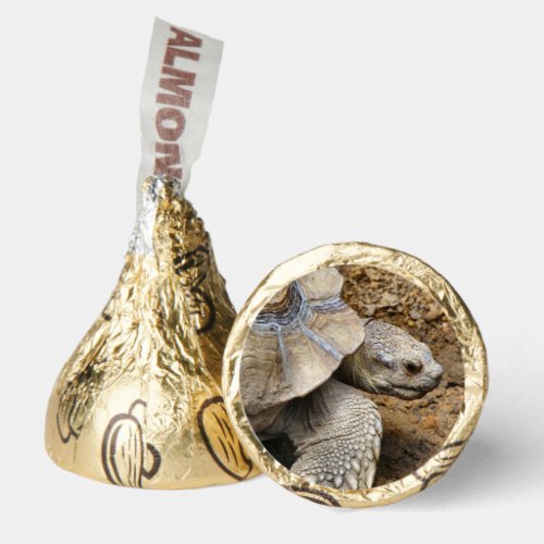 Slow Hersheys Kisses