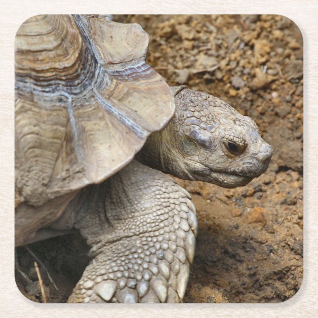 Slow Square Paper Coaster (Front)