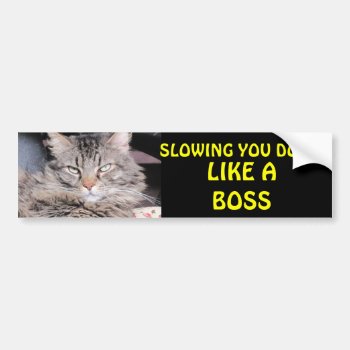 Slowing You Down Like A Boss Bumper Sticker by talkingbumpers at Zazzle
