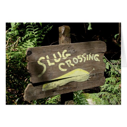 Slug Crossing Cards (Front Horizontal)