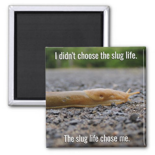 Slug Life Magnet