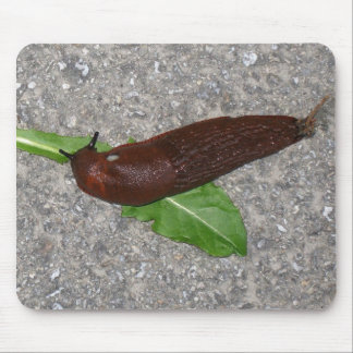 Slug Mouse Pad