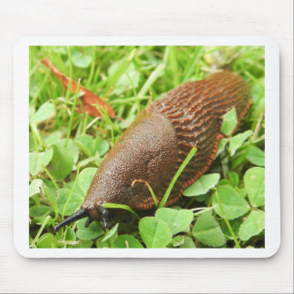 Slug Mouse Pad