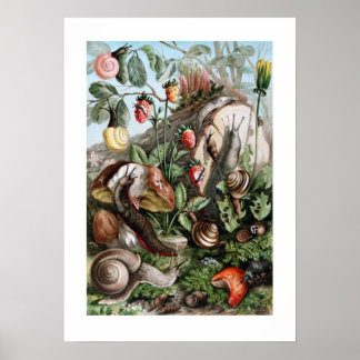 Slugs and Snails Poster