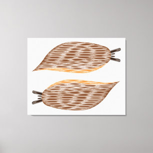 Slugs Canvas Print