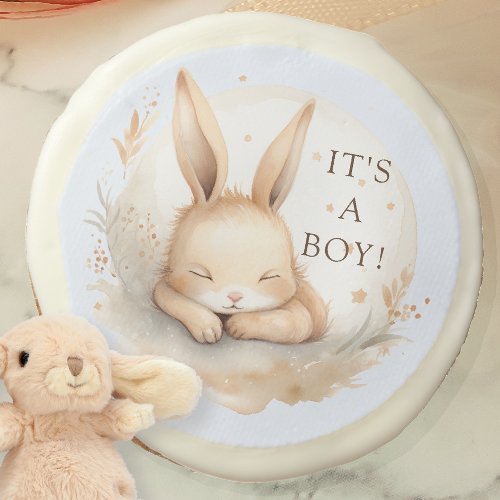 Slumber Bunny Its A Boy Baby Shower Sugar Cookie